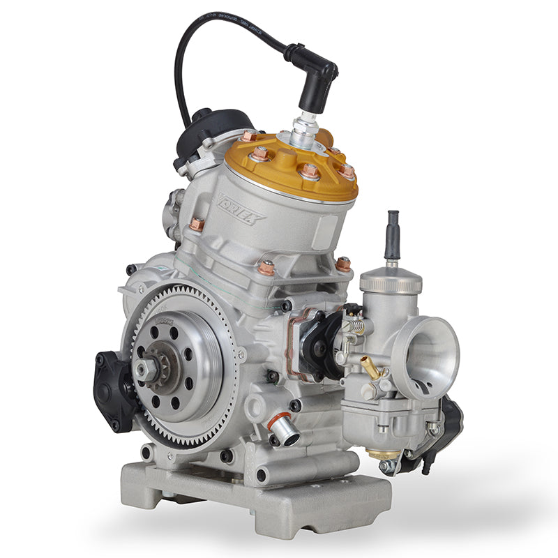Load image into Gallery viewer, ROK GP Engine Kit