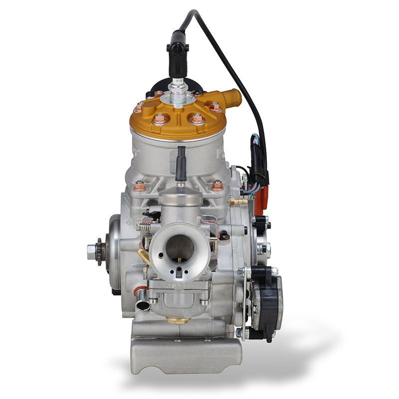 Load image into Gallery viewer, ROK GP Engine Kit