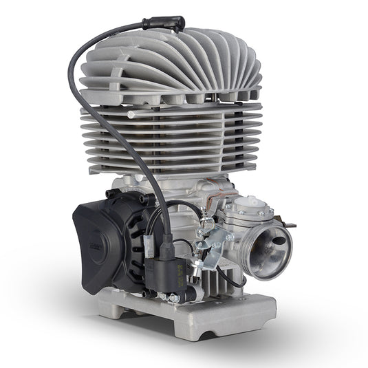 VLR 100cc Engine