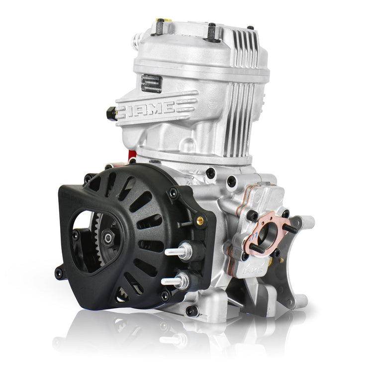 Load image into Gallery viewer, IAME X30 Engine