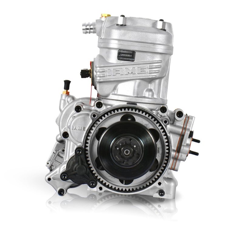 Load image into Gallery viewer, IAME X30 Engine